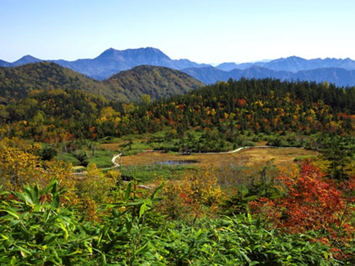 栂池自然園9月頃の様子